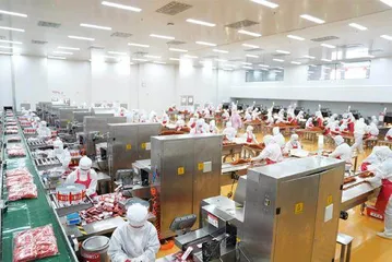 湖南平江 洪水侵袭下的中国辣条之乡5