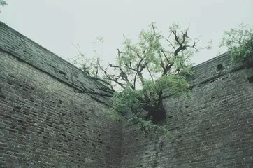 汴梁琐记2