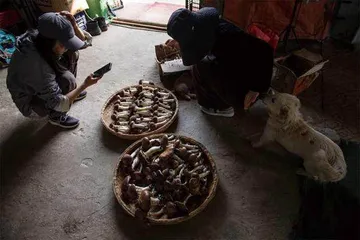 相识8个月，她守护植物人男友7年10