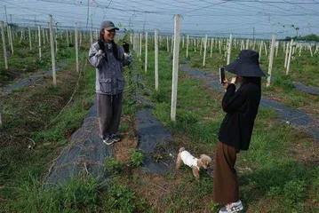 相识8个月，她守护植物人男友7年11