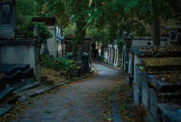 在巴黎公墓里散步也是正经事3