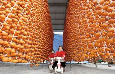 她们想知道究竟是谁在生二孩?4