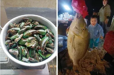 一个男多女少的村决定给媒婆发奖金3