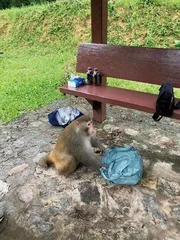 讲述两岸家书的纪录片,年轻一代还会看吗?1
