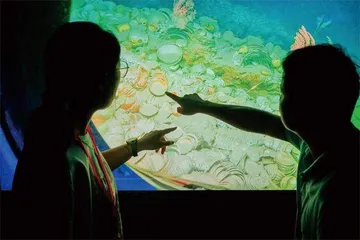深海捞“珍”