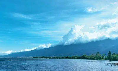 守住洱海的蓝