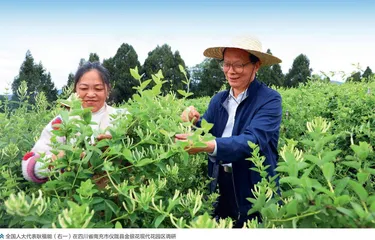 耿福能： 科技赋能基层，守护乡村健康