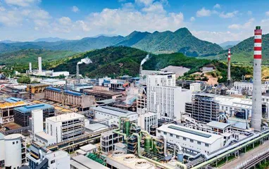青年与大湾区共成长