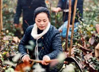 促两岸融合 携手向未来