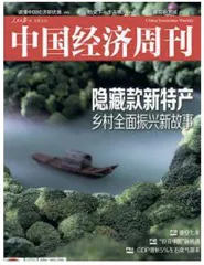 媒体
