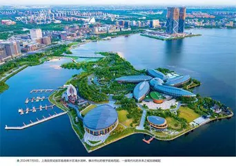 改革引领“东方明珠”璀璨夺目