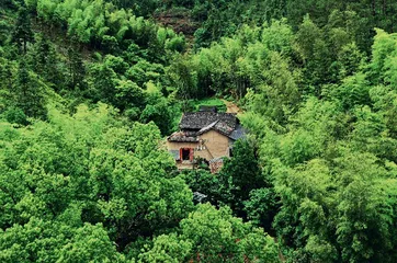 多维度编织野生动物保护网