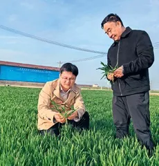 50年他只干一件事
