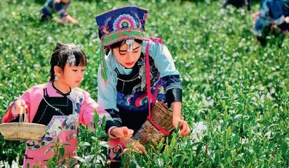 石佳：挖掘民族特色资源 助力乡村振兴