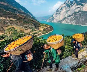 “千亿斤粮食产能提升”循何路径
