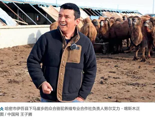 新疆青年：追求幸福生活之路
