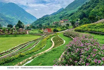 美丽乡村共富路
