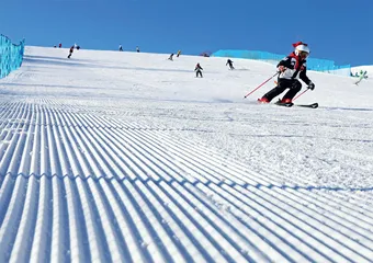 张家口：延续冬奥“冰雪热”
