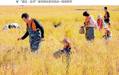 千年运河书写文化经济之变