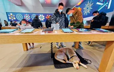 红火迎新春
