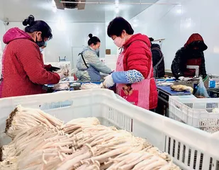 “新型农民”格外忙