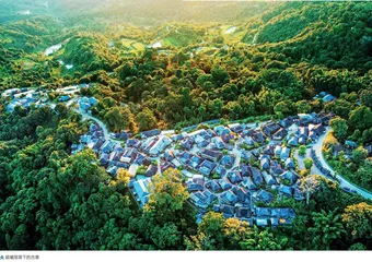 普洱景迈山古茶林：林、茶、人和谐共生