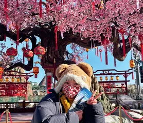 “环球中国年”焕新迎春