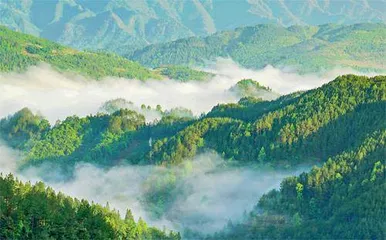 乡村振兴的重庆实践