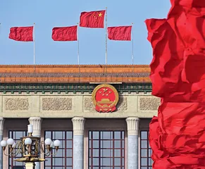 全过程人民民主的魅力
