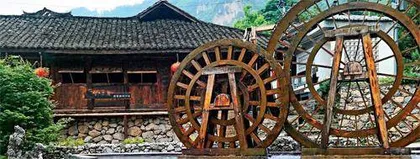 “绿优势”，让乡村振兴更可持续