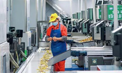 梁平：打造中国西部预制菜之都
