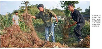 两岸一家亲 乡村共振兴
