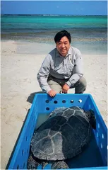 碳汇：实现“碳中和”的有效路径