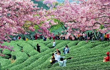 两岸经贸关系发展的新变化