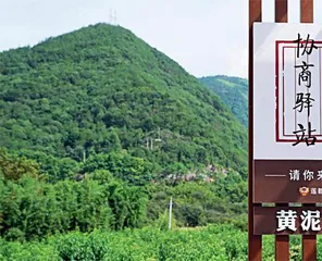 乡村治理“密码”：把选择权交给农民