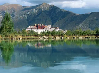 加快植树造林，打造高原宜居环境