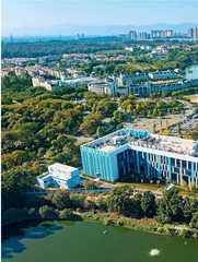 乘风而上，大湾区建设迎来“加速期”