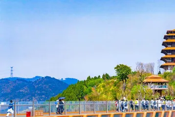 绿美生活 持续充“植”