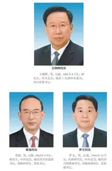 中共四川省委十二届委员会常委简历