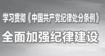 开展党纪学习教育 全面加强纪律建设