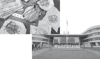 发挥中医药特色助力健康中国建设