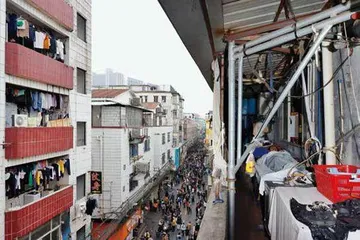 生活在康鹭1