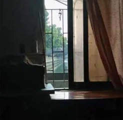 生活在康鹭4