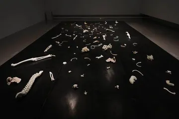 张培力的艺术不需要任何文字说明4