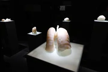 张培力的艺术不需要任何文字说明5