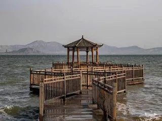 济州河5