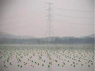 济州河9