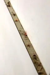 张如怡：聆听工业文明下的低声细语4