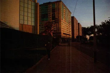 澳门在复苏2