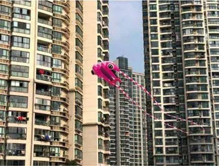 我去2000年,书写精神世界的景观4